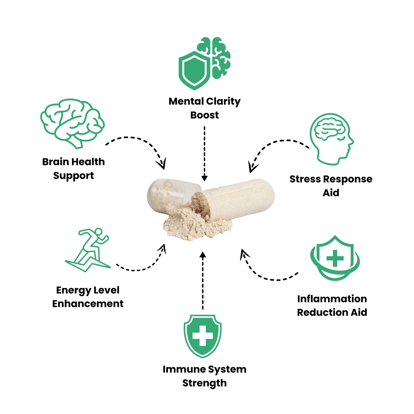 Mushroom Complex 10X